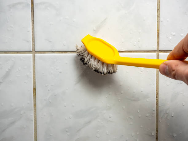 Best Local Mold Removal Service  in Mec, CA