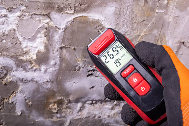 Best Emergency Mold Removal  in Mec, CA